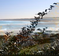 Cape Conran Coastal Park - Hotel Gold Coast