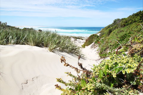 Coffin Bay National Park - Hotel Gold Coast 1