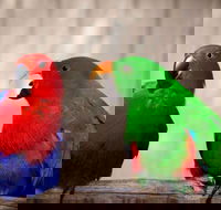 Denmark Dinosaur World - Hotel Gold Coast