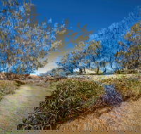Freshwater Creek Track Byfield National Park - Hotel Gold Coast