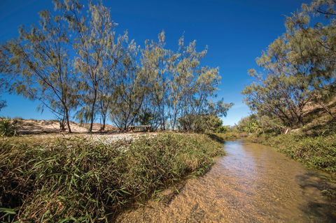 Freshwater Creek Track, Byfield National Park - Hotel Gold Coast 0