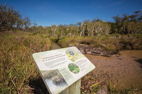 Freshwater Creek Track, Byfield National Park - Hotel Gold Coast 1