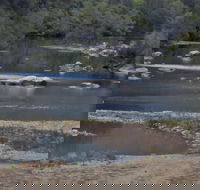 Georges Creek - Hotel Gold Coast