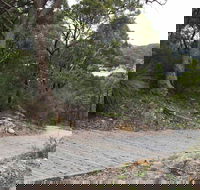 Great North Walk  Ku-ring-gai Chase National Park - Hotel Gold Coast