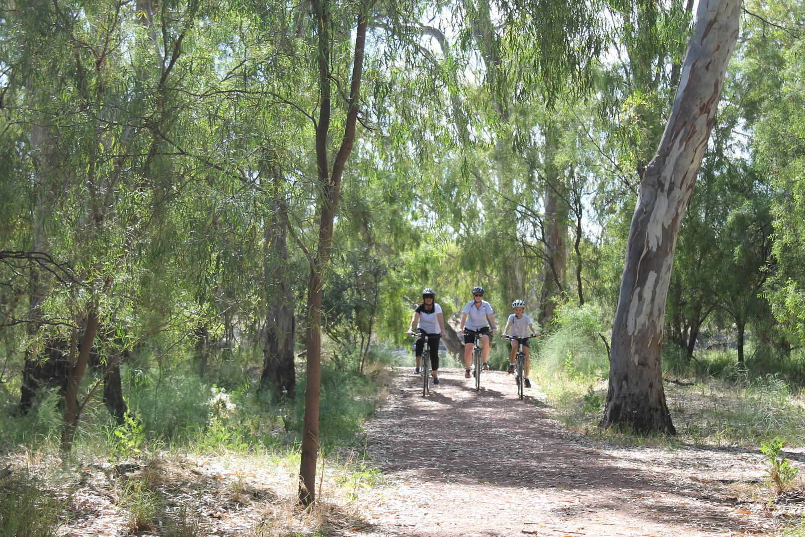 Oxley NSW Hotel Gold Coast