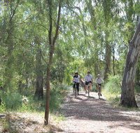 Hay Free Push Bikes - Hotel Gold Coast