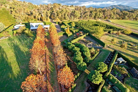 High Country Maze - Hotel Gold Coast 1