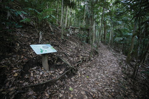 How To Holiday On The Hibiscus Coast With Your Family - Hotel Gold Coast 2