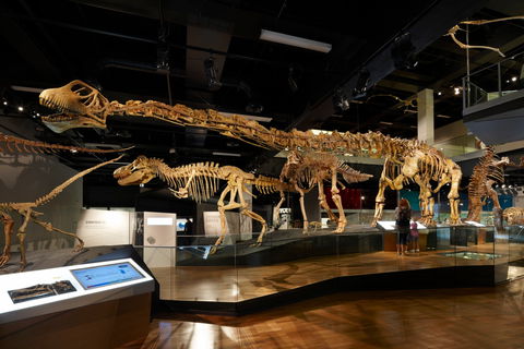 Melbourne Museum - Hotel Gold Coast 1