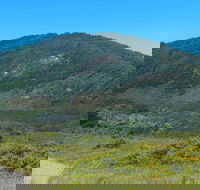 Monument Hill Walking Track - Hotel Gold Coast