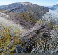 Mt Buller Bike Park - Hotel Gold Coast