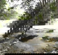 Nellies Glen Carrington Falls - Hotel Gold Coast