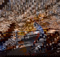 Ngilgi Cave - Hotel Gold Coast