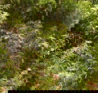 Powder Magazine walking track - Hotel Gold Coast