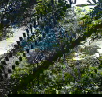 Rainforest Walking Track Hat Head National Park - Hotel Gold Coast