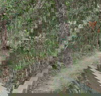 Springwood Conservation Park - Hotel Gold Coast