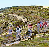 The Sole Walk at Hillocks Drive - Hotel Gold Coast