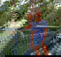 Valley of the Giants Tree Top Walk - Hotel Gold Coast