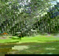 Woolgoolga Creek Picnic Area - Hotel Gold Coast
