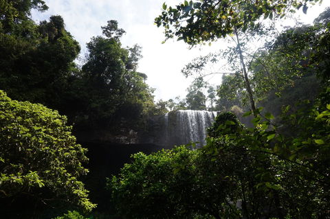 Zillie Falls - Hotel Gold Coast 1