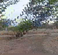 Alexander Forest Memorial - Hotel Gold Coast