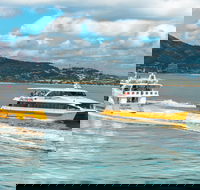 Apex Camps Magnetic Island Group Accommodation Activities and Events - Hotel Gold Coast