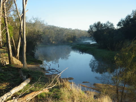 Bilya Walk Track - Hotel Gold Coast 0