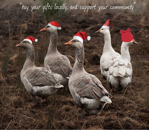 Bream Creek Farmers Market - Hotel Gold Coast 1