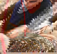 Capricorn Way - Hotel Gold Coast