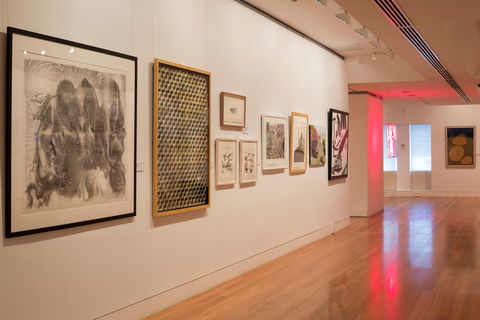 Coffs Harbour Regional Gallery - Hotel Gold Coast 1