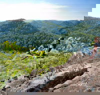 Dubbo Gully Loop Trail - Hotel Gold Coast