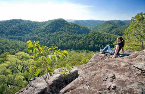Dubbo Gully Loop Trail - Hotel Gold Coast 0