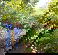 Endeavour Fern Gully Walks - Hotel Gold Coast