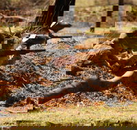 Freycinet Paintball and Campground - Hotel Gold Coast