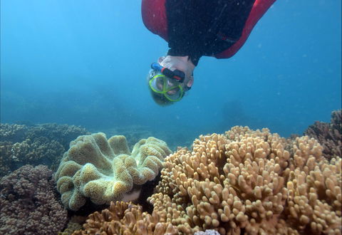 Geoffrey Bay Snorkel Trail - Hotel Gold Coast 0