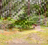 Goodenia Rainforest picnic area - Hotel Gold Coast