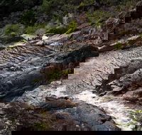 Halls Falls - Hotel Gold Coast