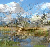 Lagoon Creek - Hotel Gold Coast