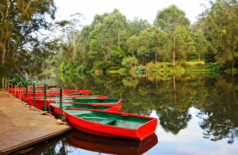Lane Cove National Park - Hotel Gold Coast 0