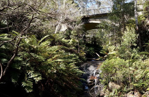 Leura Cascades - Hotel Gold Coast 2