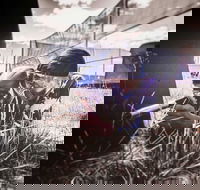 Luddenham Raceway Paintball - Hotel Gold Coast