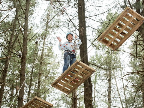 Mount Lofty Adventure Hub - Hotel Gold Coast 2