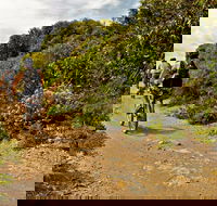 Mountain Biking Trails - Hotel Gold Coast