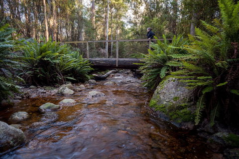 O'Neills Creek Picnic Reserve - Hotel Gold Coast 0