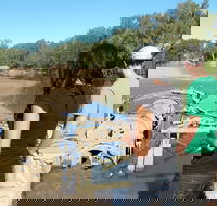Paddle Steamer Wagga Wagga Wreck