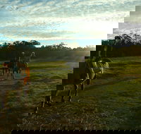 Scenic NSW Horse Riding Centre - Hotel Gold Coast