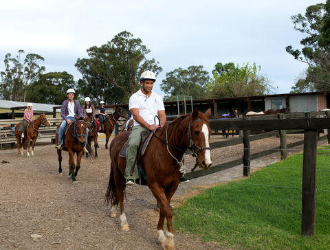 Scenic NSW Horse Riding Centre - Hotel Gold Coast 1