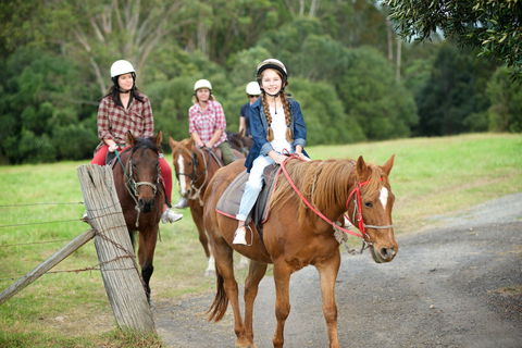 Scenic NSW Horse Riding Centre - Hotel Gold Coast 2