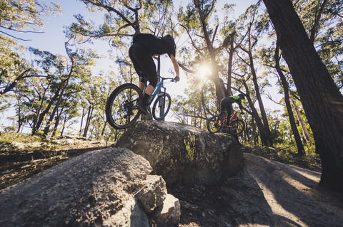 St Helens Mountain Bike Trails - Hotel Gold Coast 1