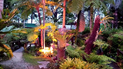 The Fernery At Diamond Waters - Hotel Gold Coast 0